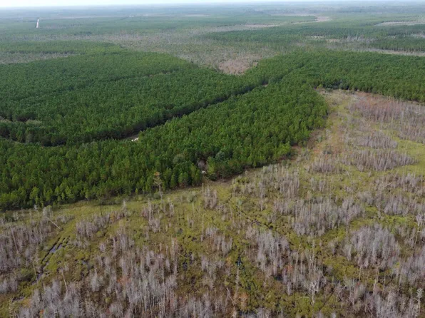 0 Odum Rd, Millwood, GA 31552