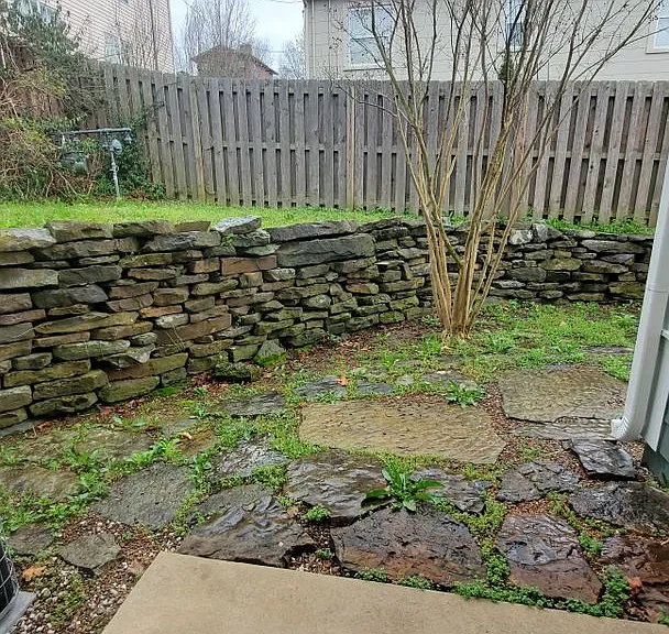 40 E Maple St #3 — Photo 12