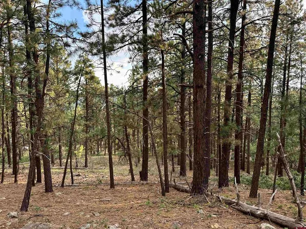 259 Hillside Circle, Bayfield, CO 81122