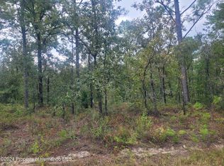 13220 Velvet Scoter Ave, Brooksville, FL 34614