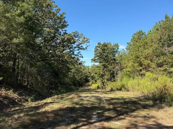 Old 51 Rd, Pickens, MS 39146