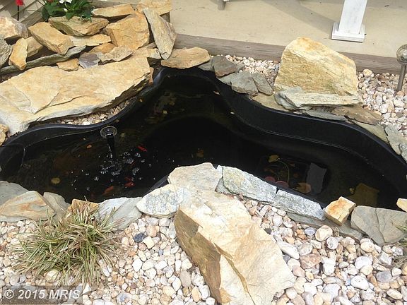 Goldfish pond at front entrance