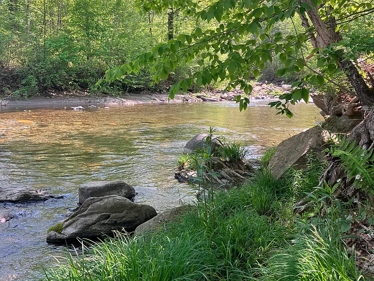 67 Creek Rd #3 — Photo 40