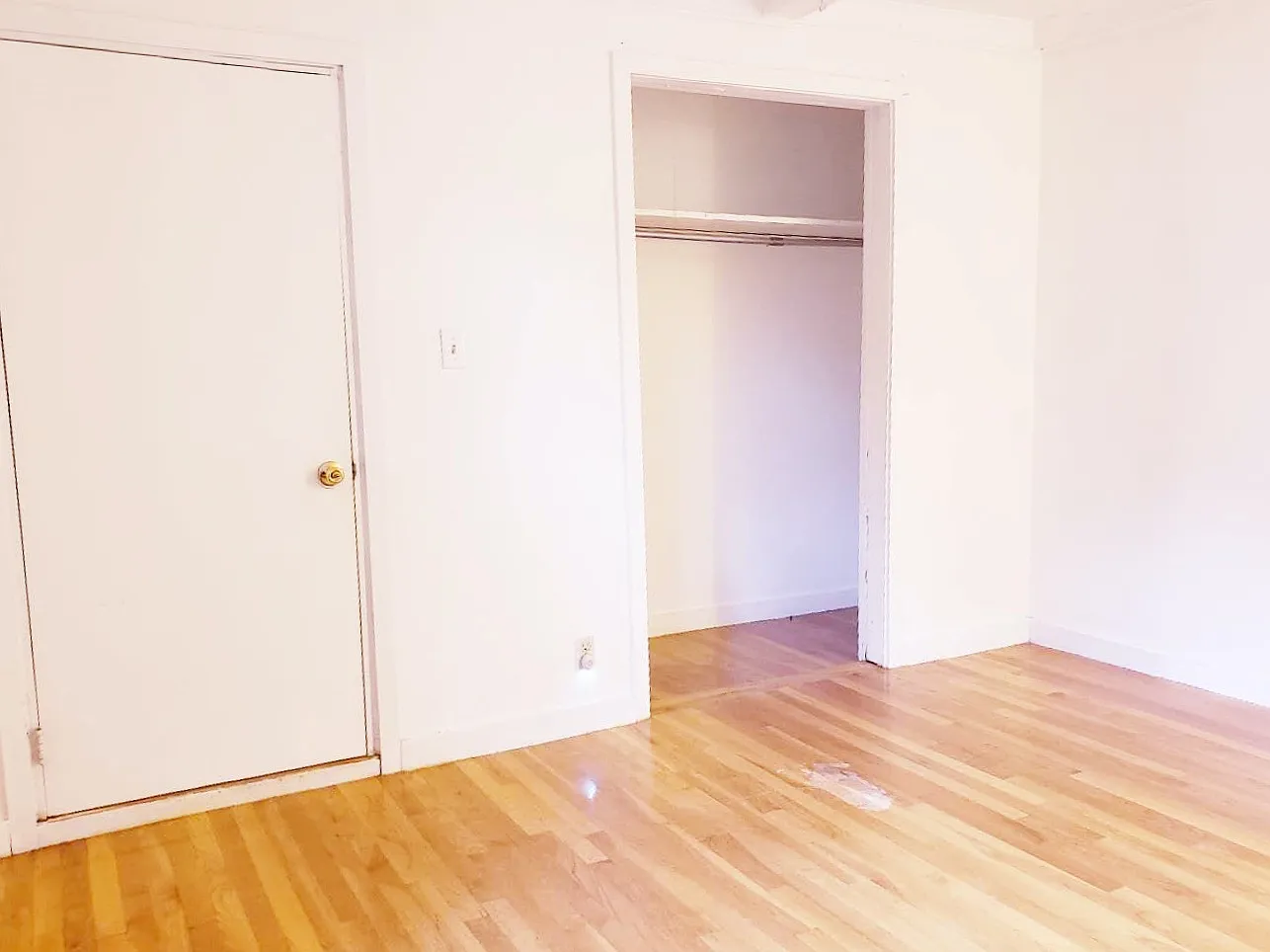 3 bed, 800 sqft, $1,125 — Photo 3