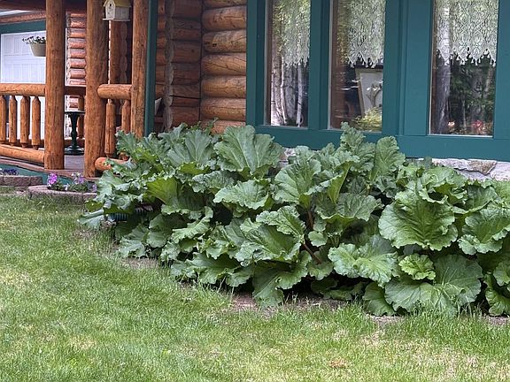 5th image of 3654 Arapaho Dr
