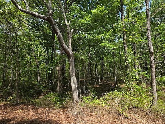3rd image of LOT 5 Wolf Pond Rd