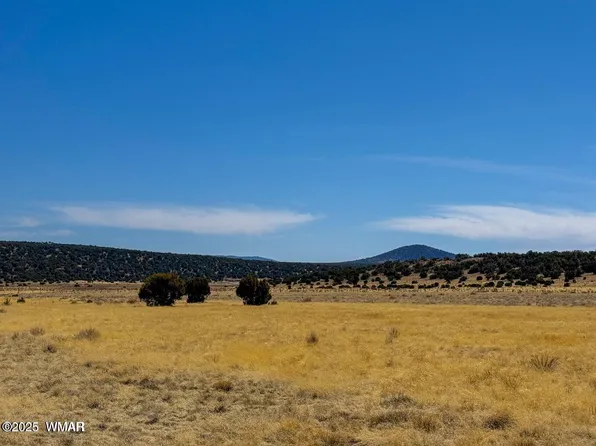58 & 136 County Road 8253, Concho, AZ 85924