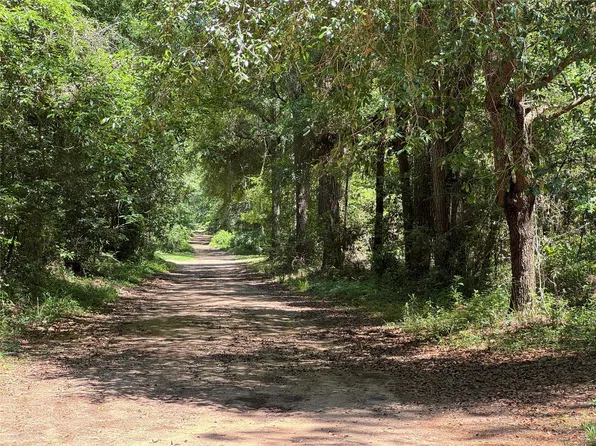 Holly Grove Rd, Livingston, TX 77351