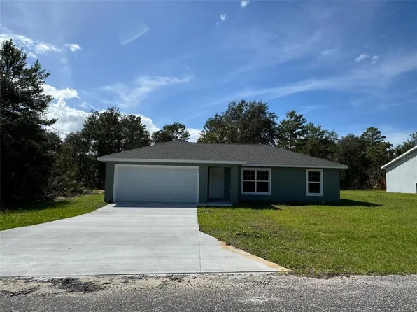 46 Fisher Ter, Ocklawaha, FL 32179