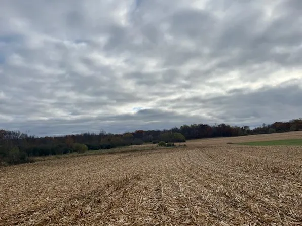 L2b1 Packard St NE, Stanchfield, MN 55080