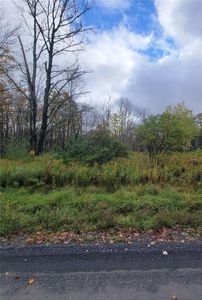 0 Beech Hill Rd, Newfield, NY, 14867