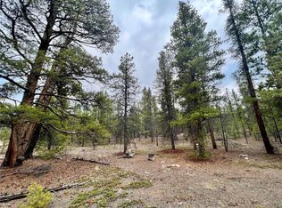322 Fir Dr, Twin Lakes, CO 81251