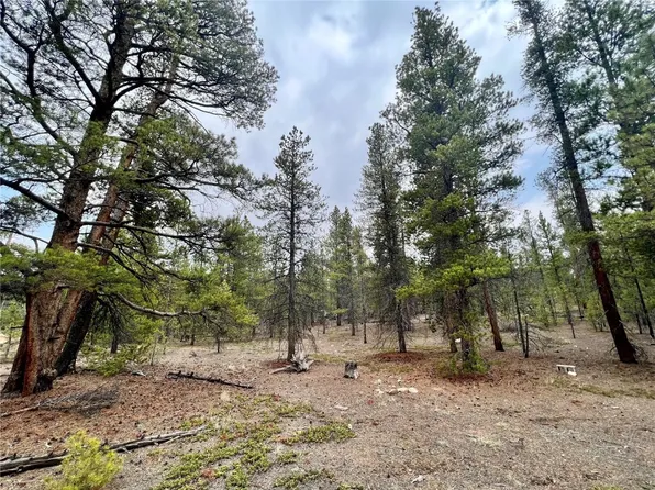 322 Fir Dr, Twin Lakes, CO 81251