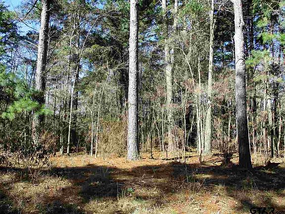4th image of LOT 184 N Lakeview Dr #184
