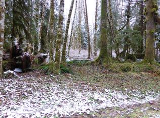 10658 Thompson Creek Rd, Glacier, WA 98244