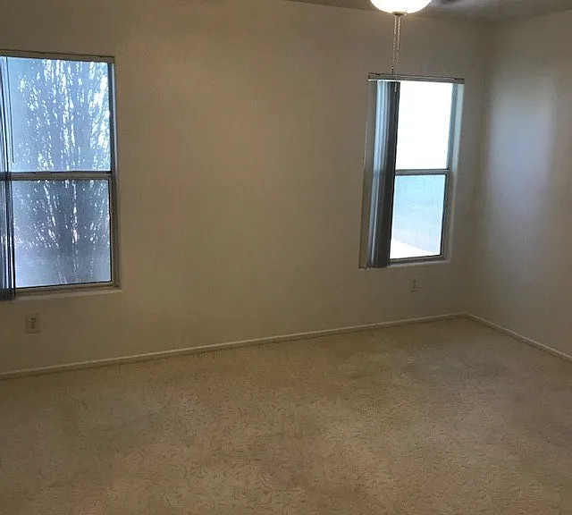 3955 Coyote Brush Ct — Photo 8