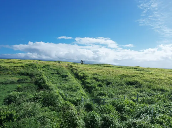 Kamaoa Homestead Lot 63, Naalehu, HI 96772