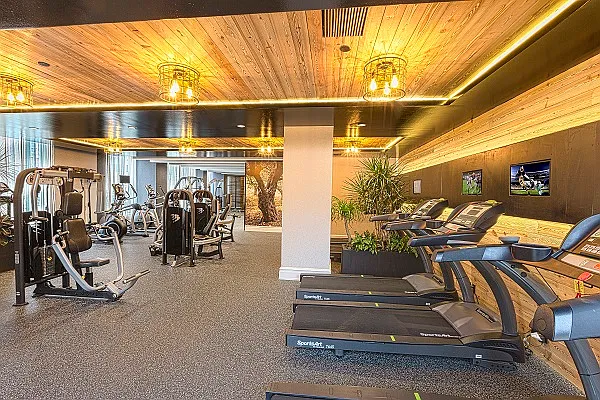 Rented by City View Living | media 87