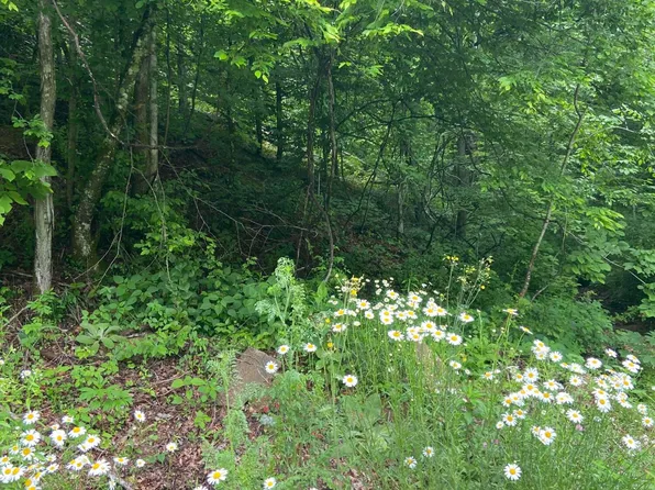 3737 Crane Creek Rd, Manchester, KY 40962