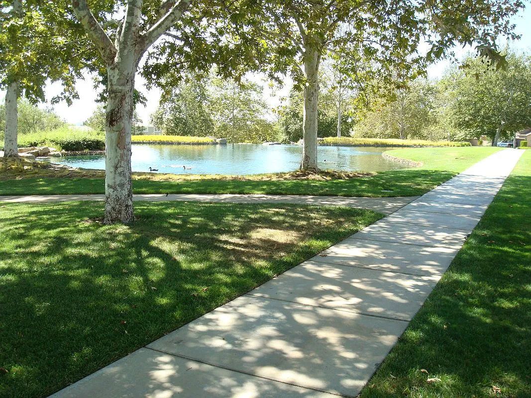 4 bed, 2.0 bath, 1710 sqft, $3,250 — Photo 3