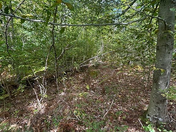 3rd image of 531 Mason Rd