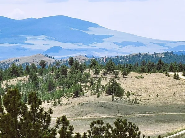 1051 Arapahoe Trl, Hartsel, CO 80449