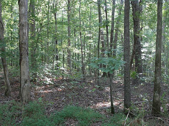 3rd image of 0 Lonesome Pine Rd Lot 226