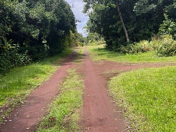 2nd image of Hilo St Lot 533
