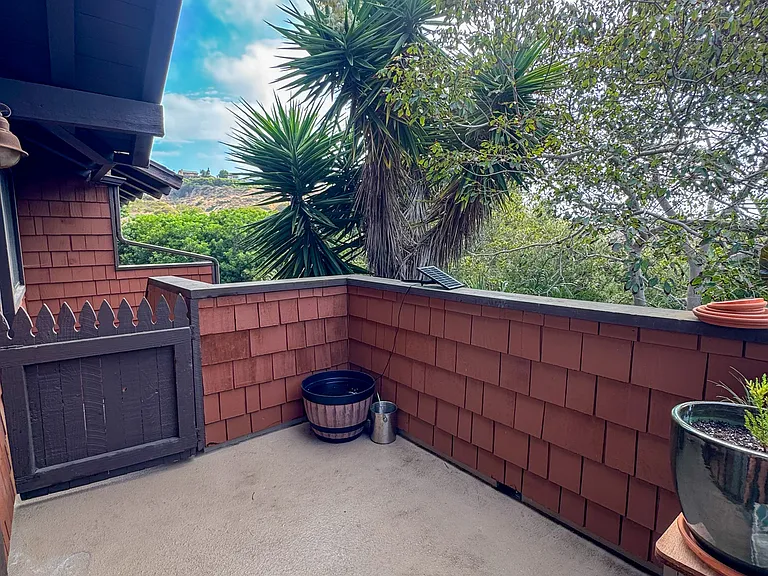2443 Caminito Ocean Cv — Photo 19