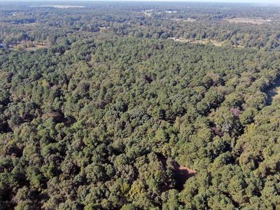 174 1/2 Lr #730, Ashdown, AR, 71822
