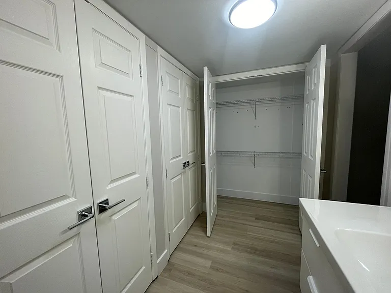 Master Bathroom closets and storage space