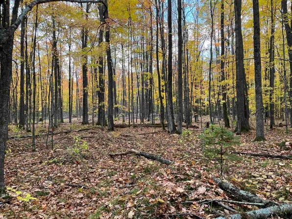 Barker Rd, Amberg, WI 54102