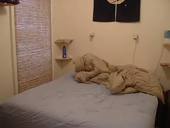 Rented by Centennial Properties NY