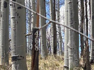 178 Summit Rd, Lake George, CO 80827