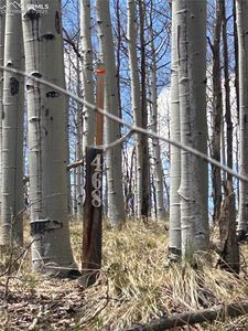 178 Summit Rd, Lake George, CO, 80827