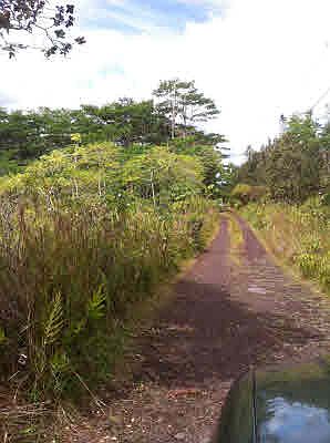 2nd image of Silversword Ct Lot 6-14