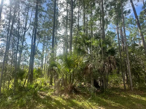 36 Kashmir Trl, Palm Coast, FL 32164