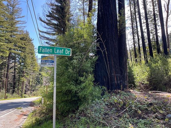 3rd image of 115 Fallen Leaf Dr