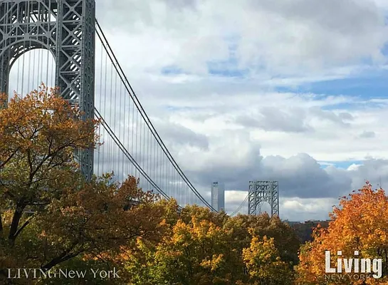 Rented by Living New York | media 9