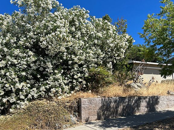 3rd image of 4670 Ventura Ave