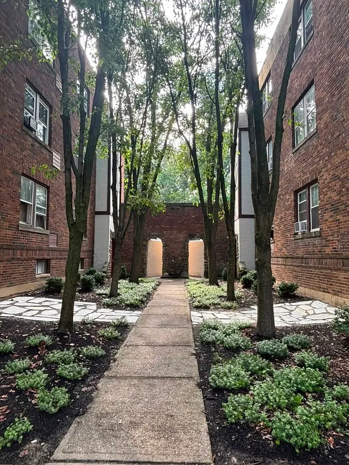 2 bed, 750 sqft, $1,250 — Photo 2