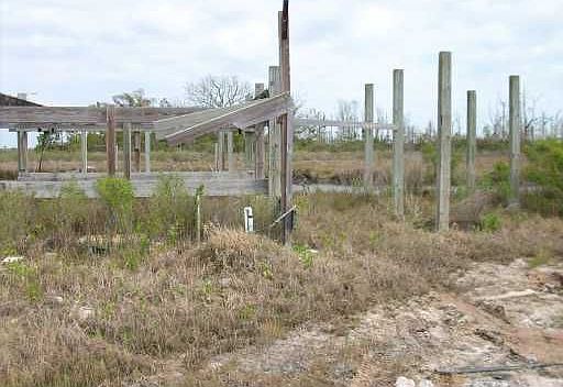 1st image of 9004 St. Ann Dr