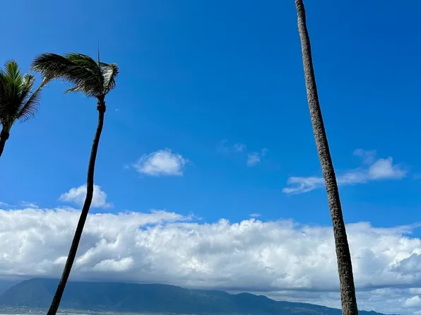 590A Stable Rd, Paia, HI 96779