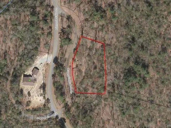 53 Magnolia Branch Dr, Zirconia, NC 28790