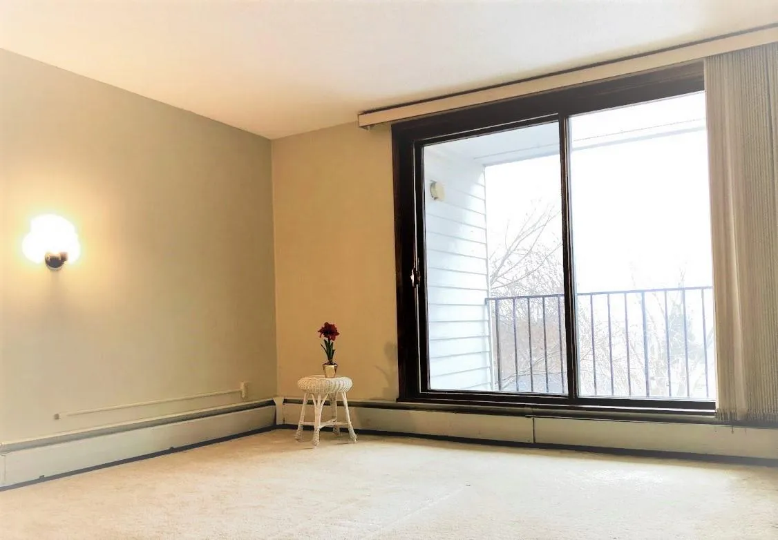 MB features a walk-out balcony & a large closet. - 4625 Minnetonka Blvd #302