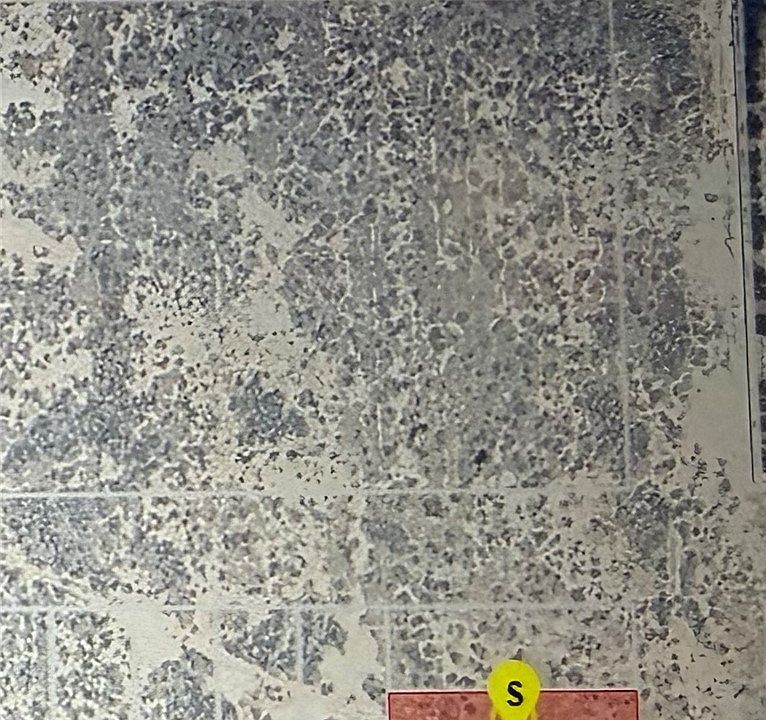 2nd image of 92 E Avenue E E #11