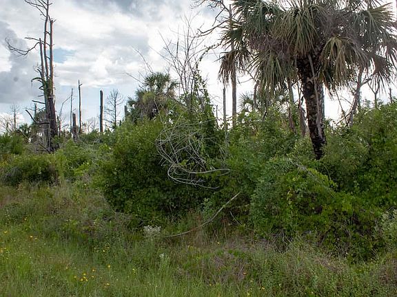 3rd image of S Devonia Cir