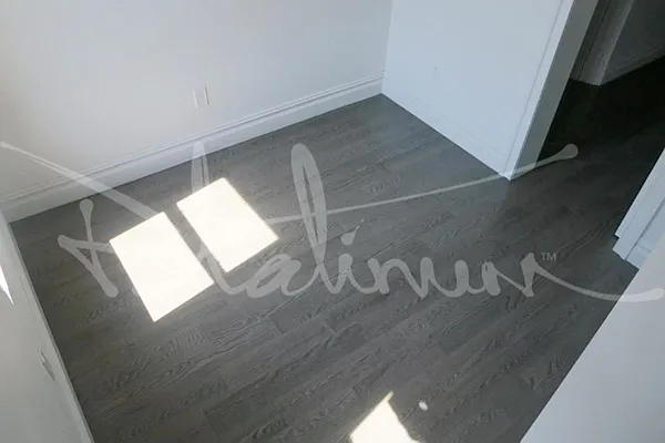 Rented by Platinum Forbes Global Properties | media 22