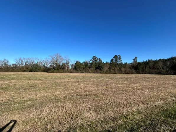 12 10.8 Ac Willie Varnum Road D Hodge Rd, Cottonwood, AL 36320