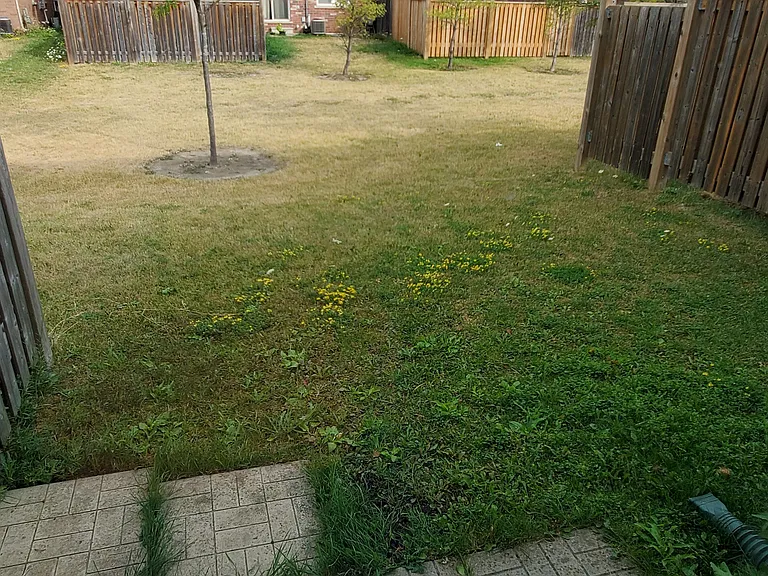 651 Farmstead Dr #59 — Photo 12